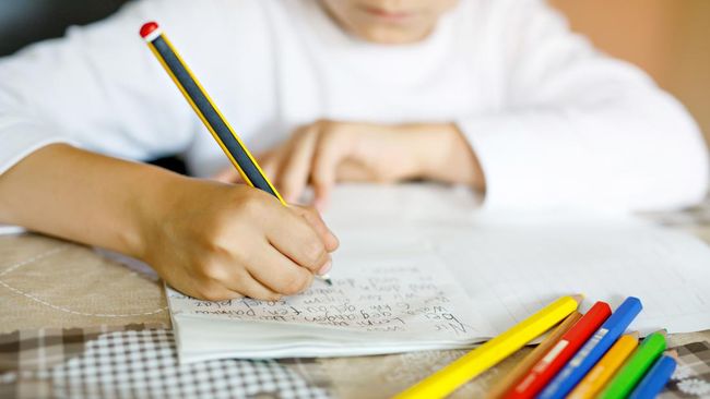 7 Buah Ini Bisa Bantu Tingkatkan IQ Anak, Bisa Jadi Juara Kelas