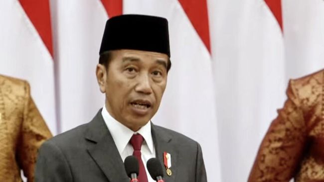 Tok, Jokowi Tetapkan BSD dan Batam Jadi Kawasan Ekonomi Khusus