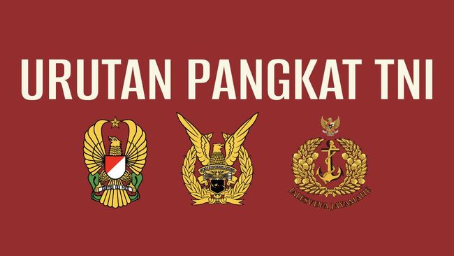 INFOGRAFIS: Urutan Pangkat Tentara Nasional Indonesia