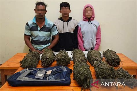 2 Pengedar Ganja di Sukabumi Ditangkap Polisi Barang Bukti 1,5 Kilogram
