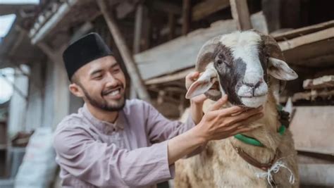Berikut Sejarah dan Asal Usul Ibadah Kurban: Sebuah Kisah Ketaatan Abadi