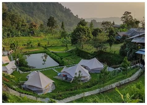 Forrester Glamping Co Bogor Pengalaman Menginap Mewah di Tengah Keindahan Alam