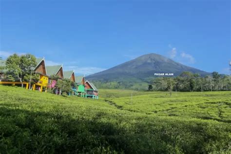 Gunung Dempo di Lahat Sumsel Erupsi Pagi Ini