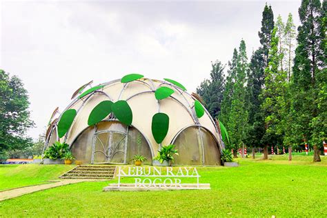 Jelajah Pesona Kebun Raya Bogor, Ini 7 Spot Wajib yang Tak Boleh Dilewatkan!
