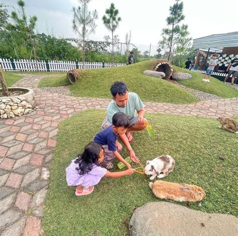 Tepi Kota Healing: Surga Tersembunyi di Bandung dengan 4 Aktivitas Wajib Coba