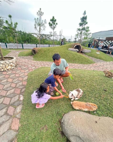 Tepi Kota Healing: Surga Tersembunyi di Bandung dengan 4 Aktivitas Wajib Coba