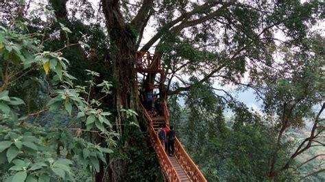 Curug Ciherang, Air Terjun yang Punya Rumah Pohon dan Jembatan Gantung