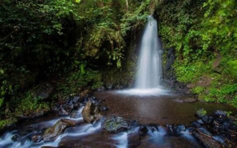 Curug Citiis, Air Terjun Asri dengan Panorama Spektakuler di Garut